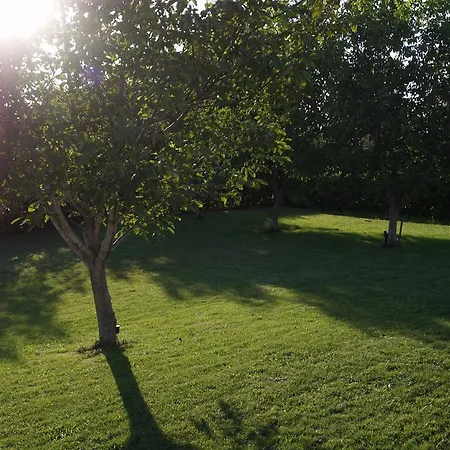 Salesi Apartament Megalopolis