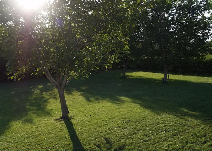 Salesi Lägenhet Megalopolis